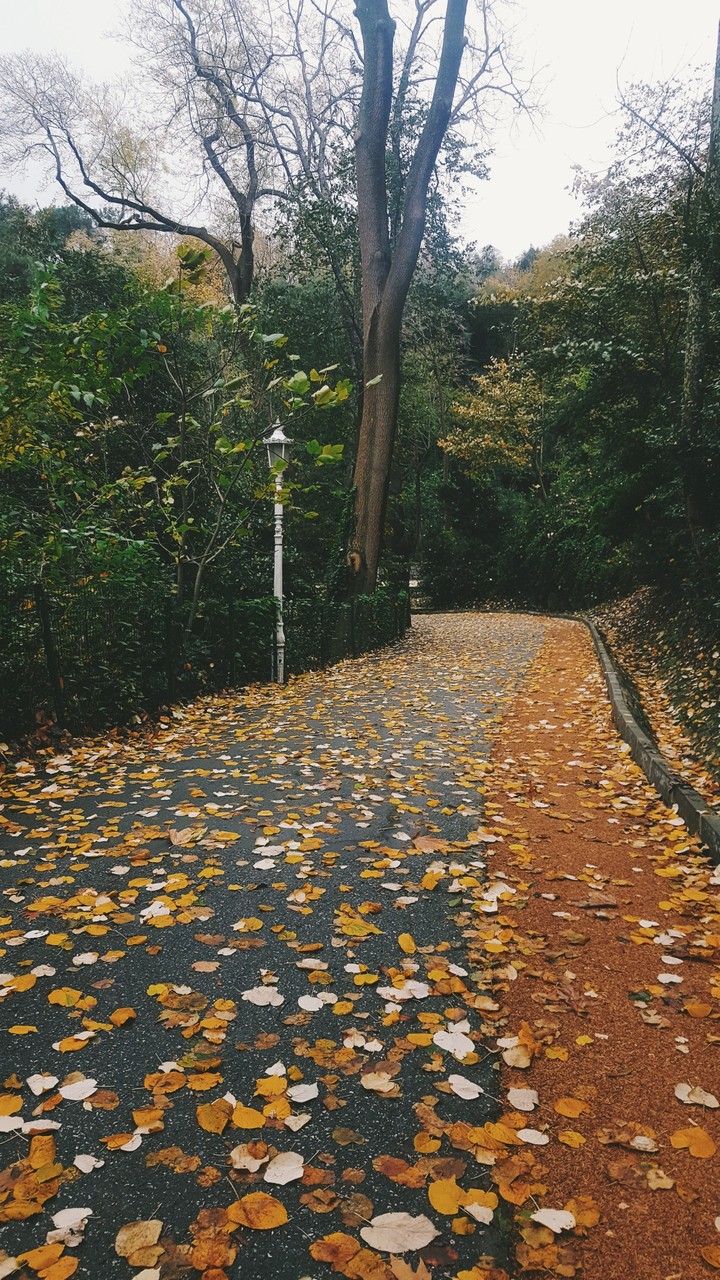nature