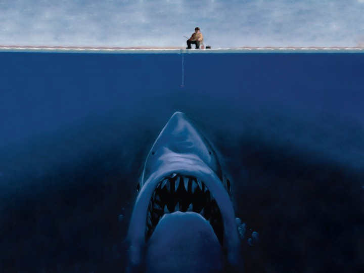 shark