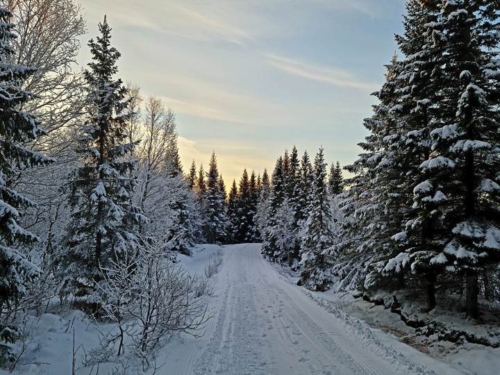 winter wonderland