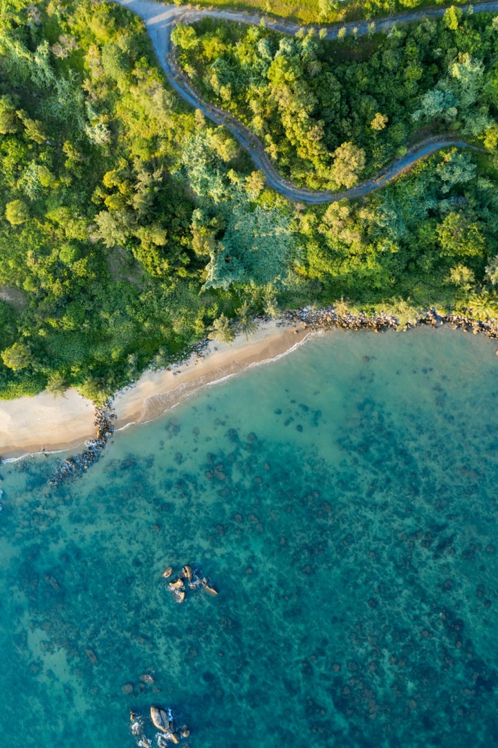 Tropical Beach