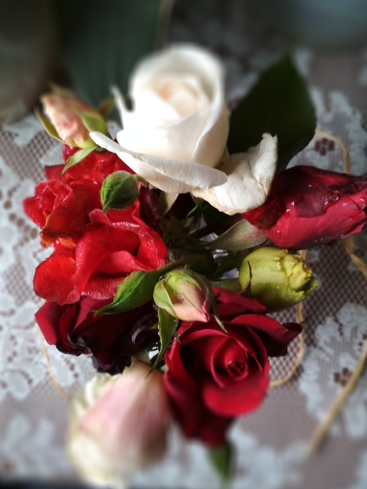beauty flower