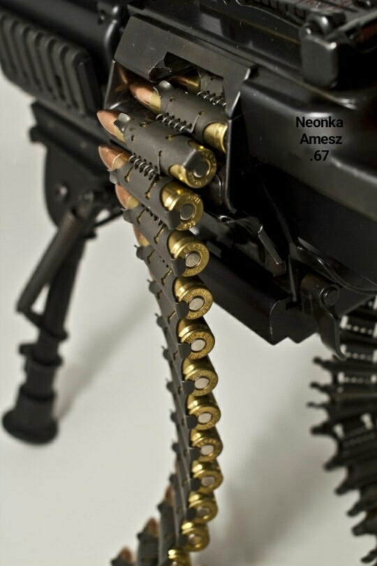 Gun