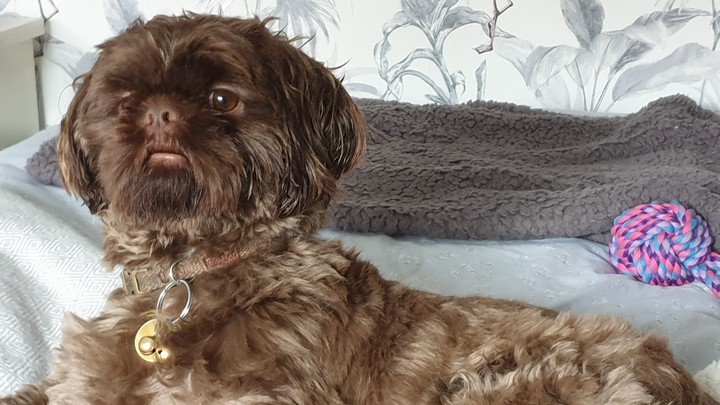 what you looking at!!!