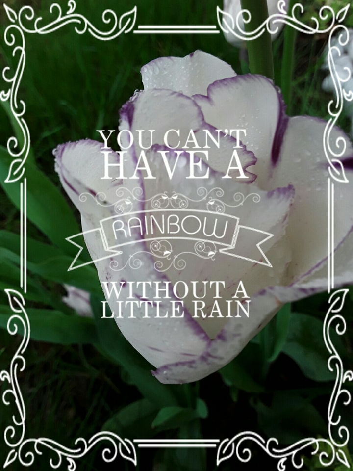 you can't have...