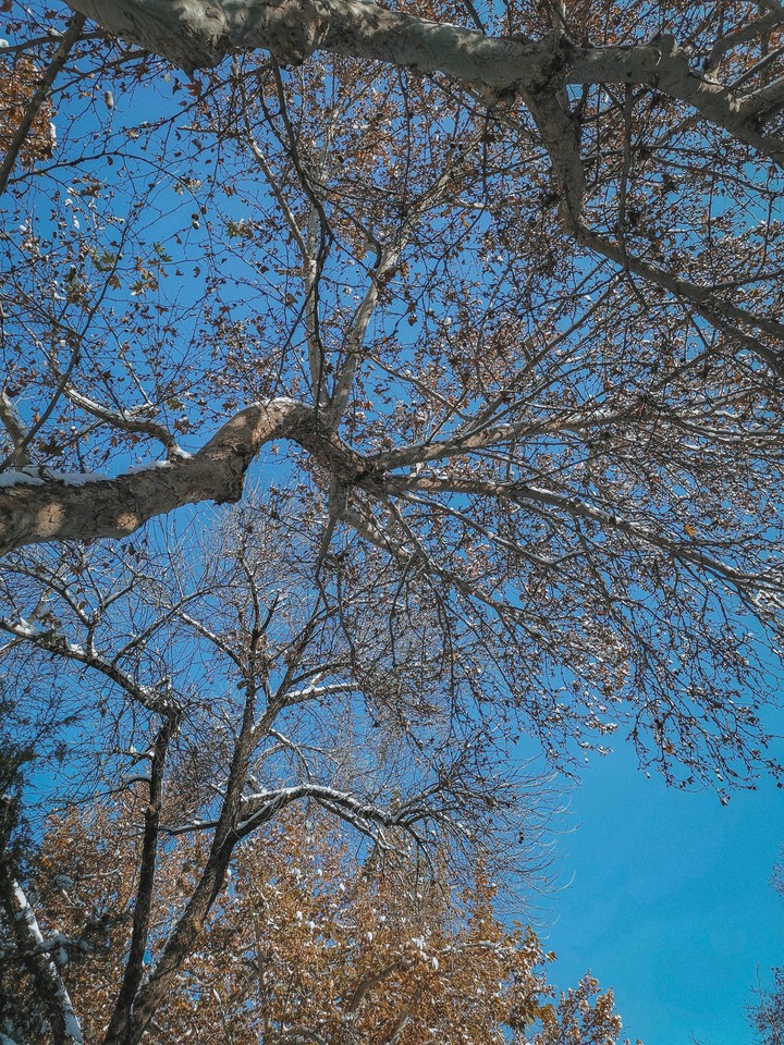 November view