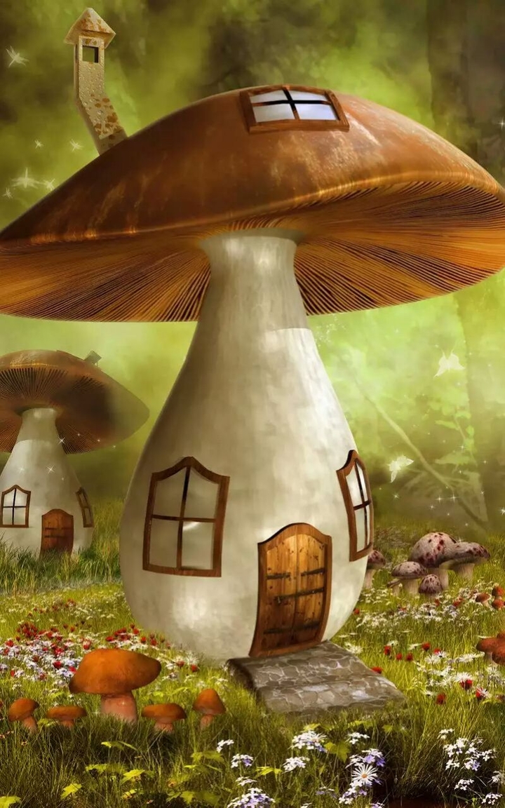 mashroom house