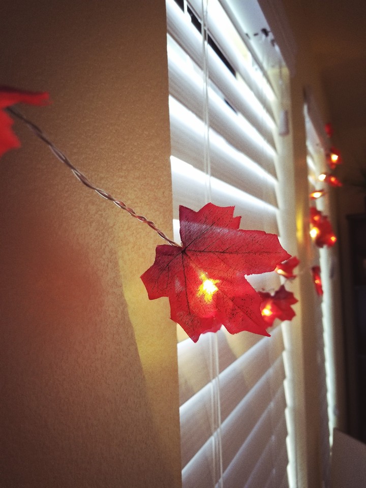 autumn decor