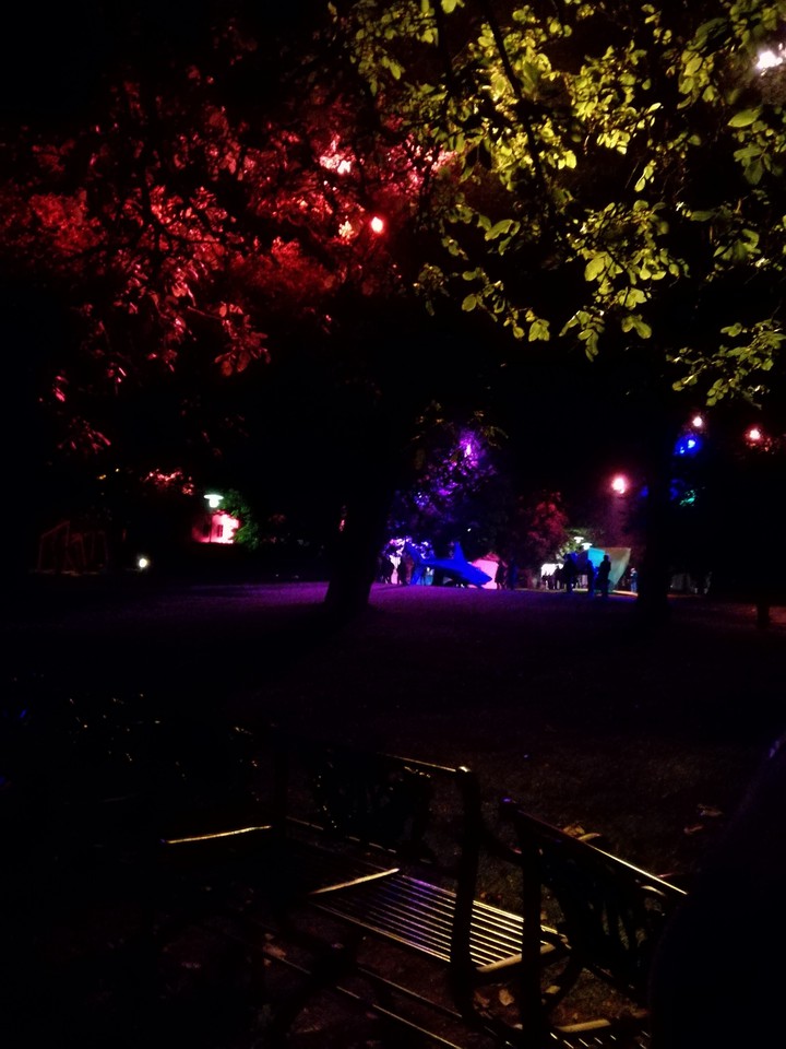 Garden of Lights