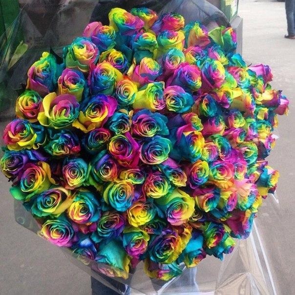 flovers