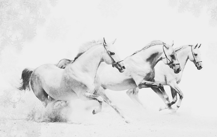Runing Horse