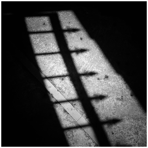 Shadow Of Exile