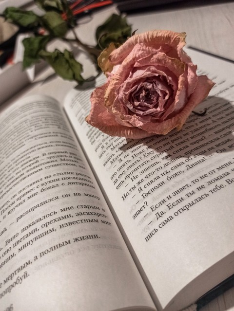Rose and a book