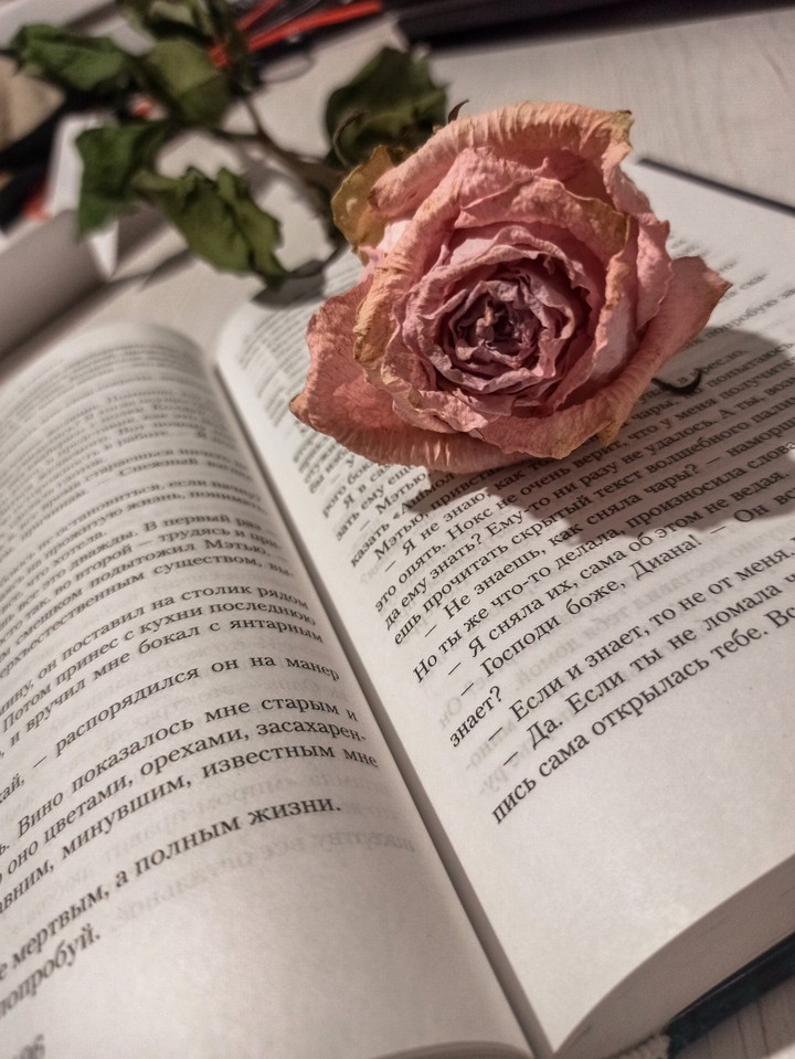 Rose and a book