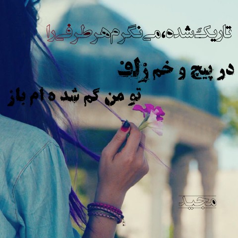 زلف