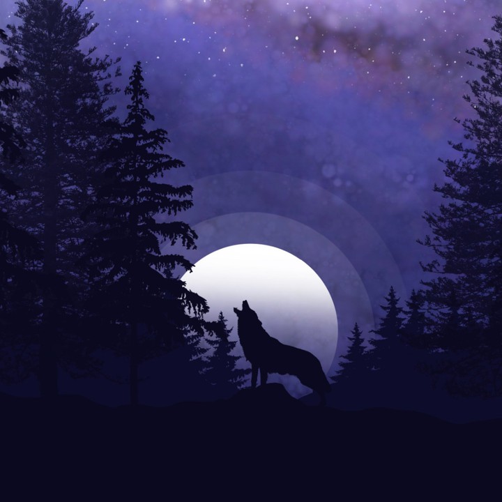 Wallpaper