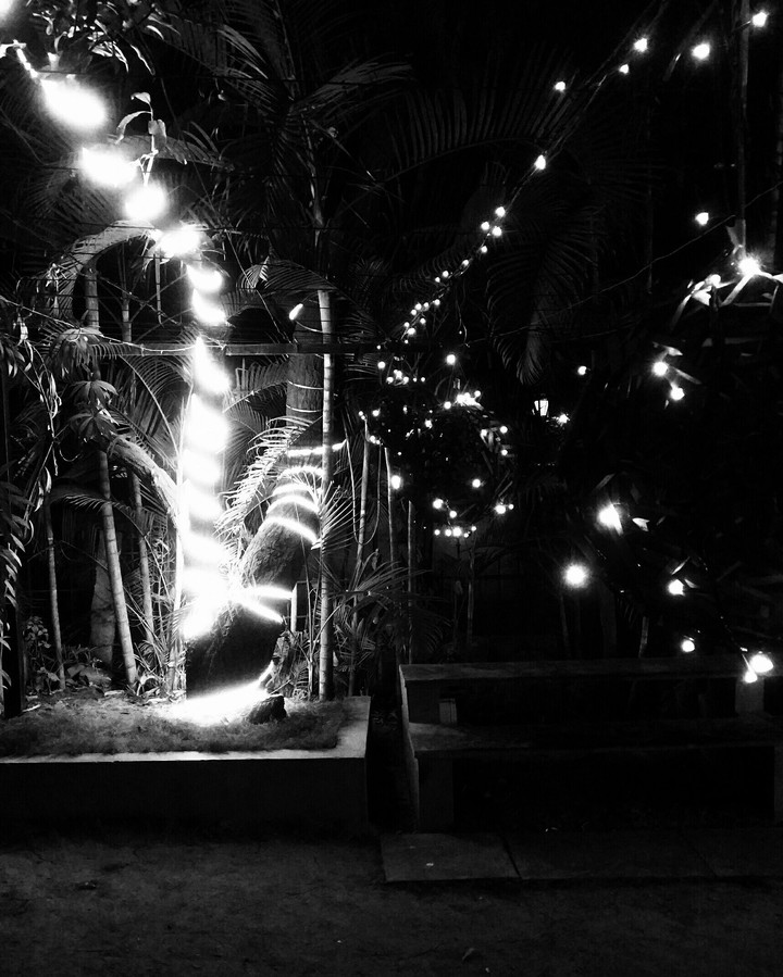 lights