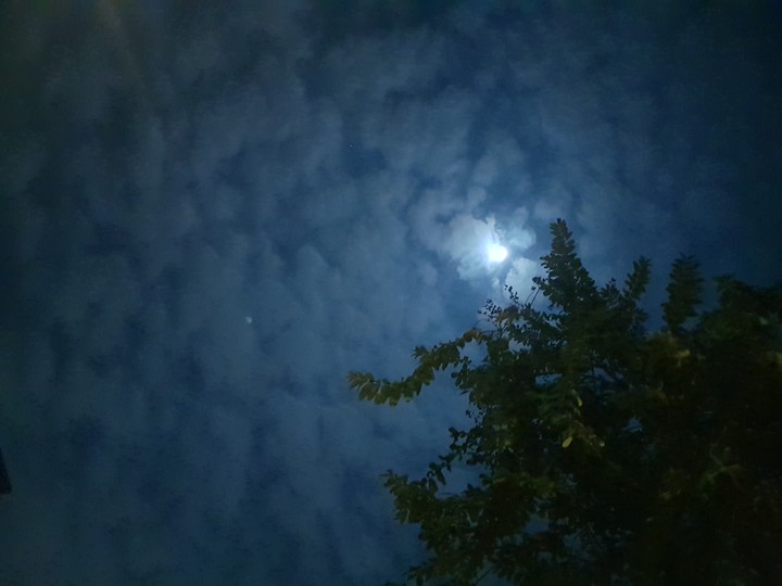 Moonlight