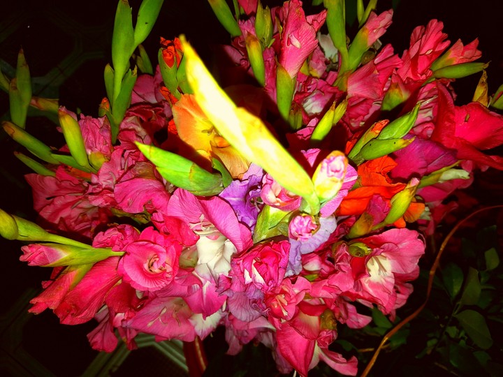 flowers stick