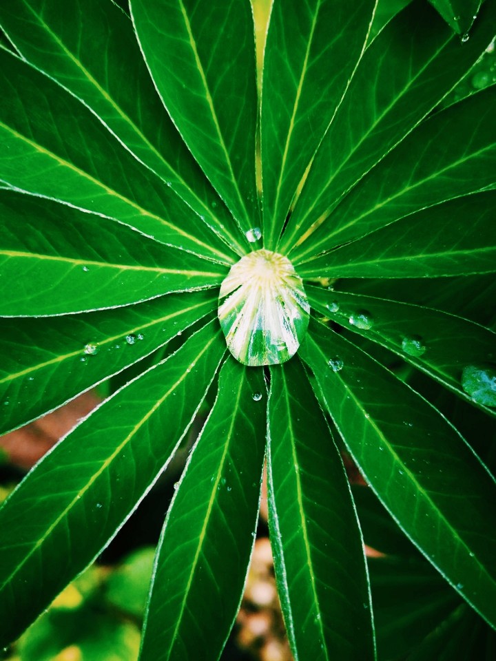 waterdrop