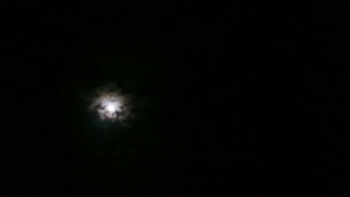 dark night