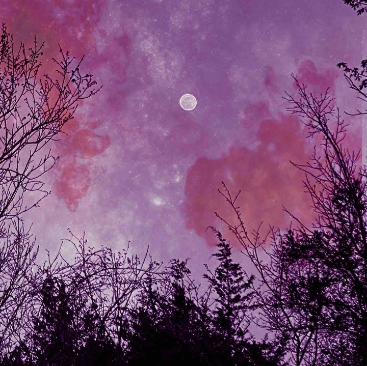 cosmic moon