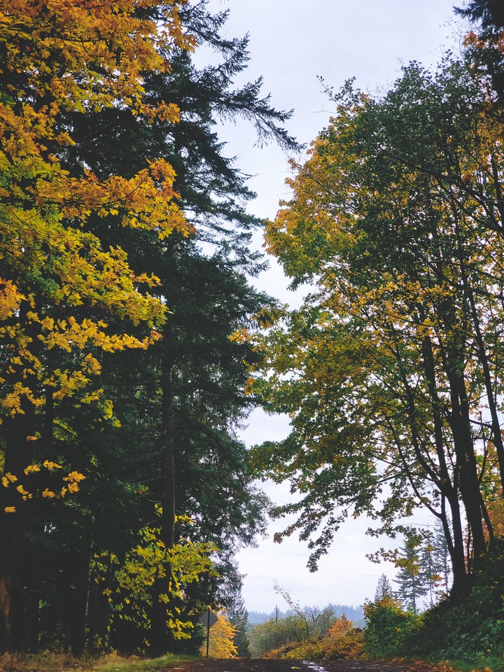 roadtrip in Fall