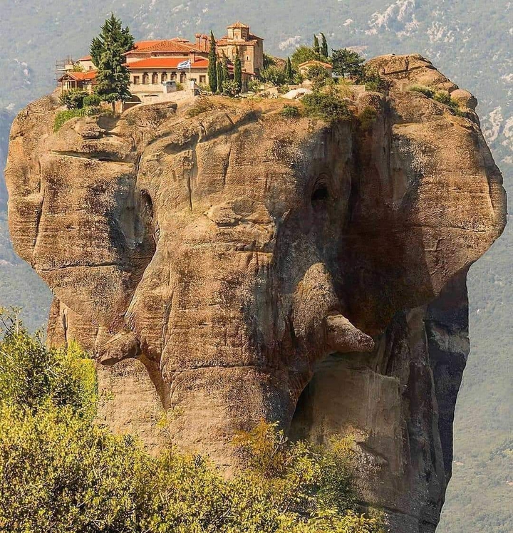nature