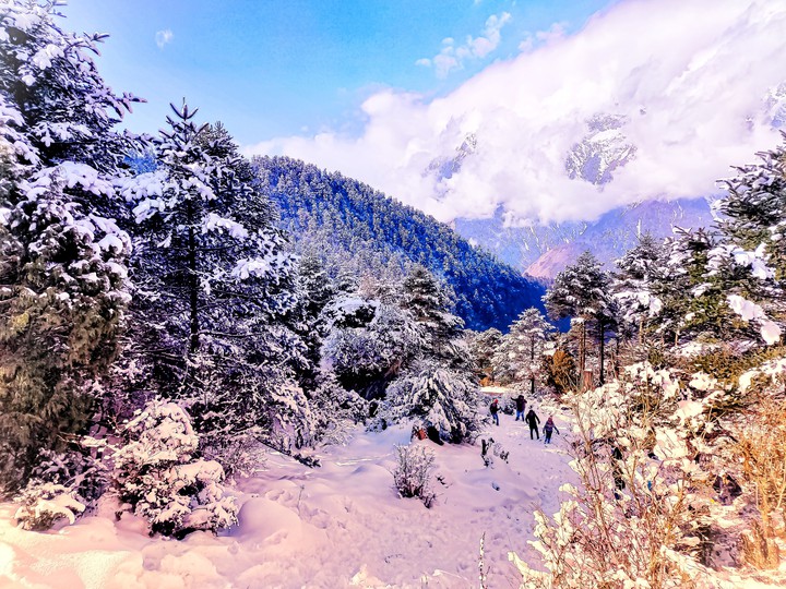 Mount Katao Area, Lachung, North Sikkim, India