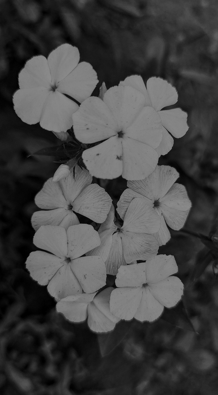 black and white
