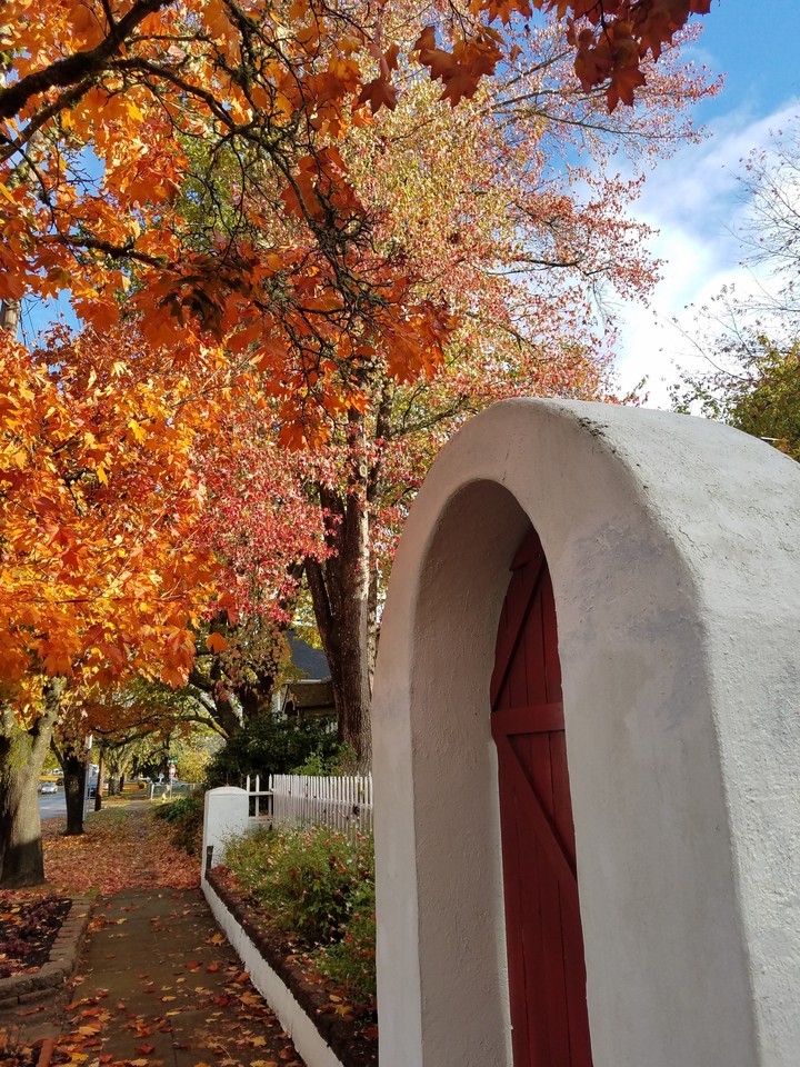 an Autumn stroll