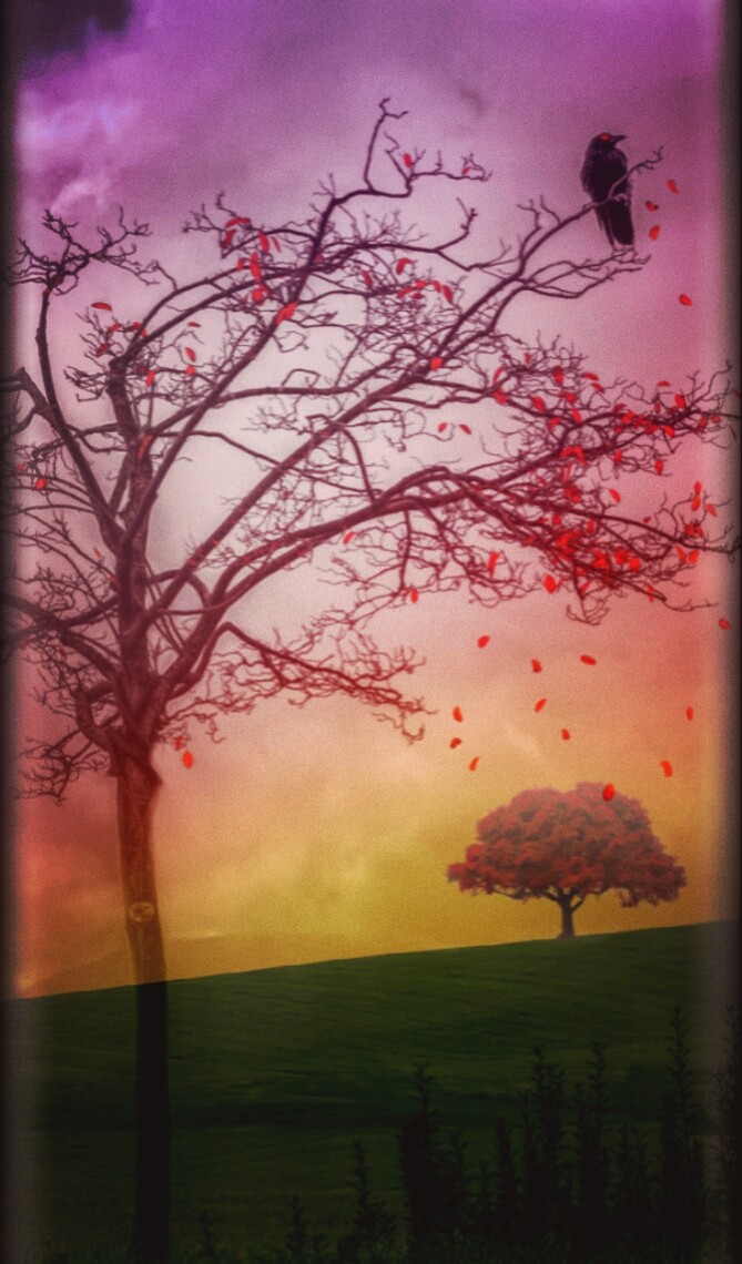 nature