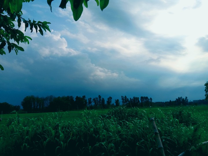 sunrise
