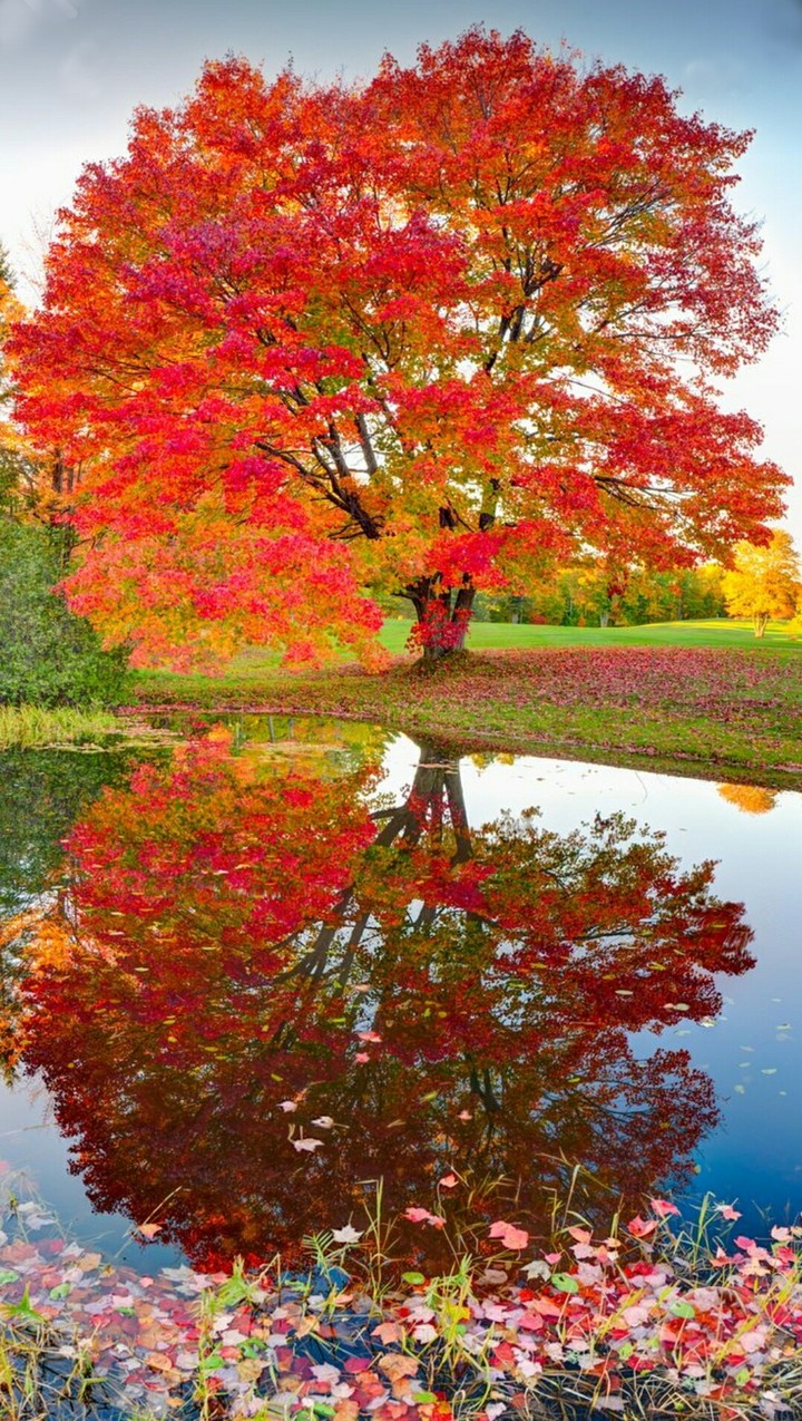 Nature