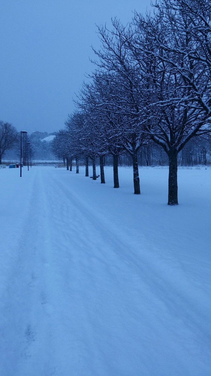 winter in sweden