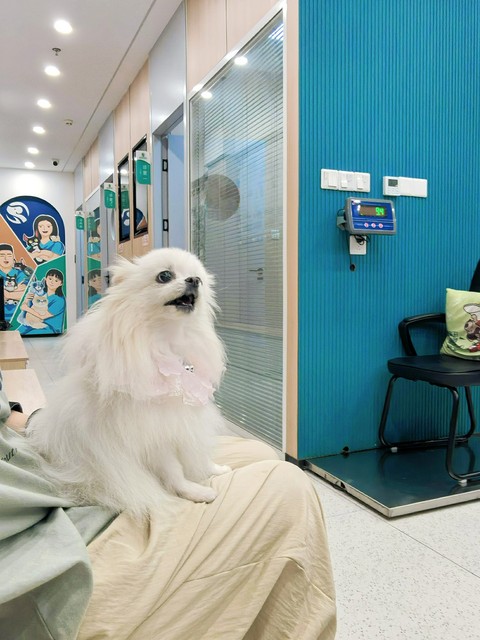 Trying to threaten and drive away the vet...