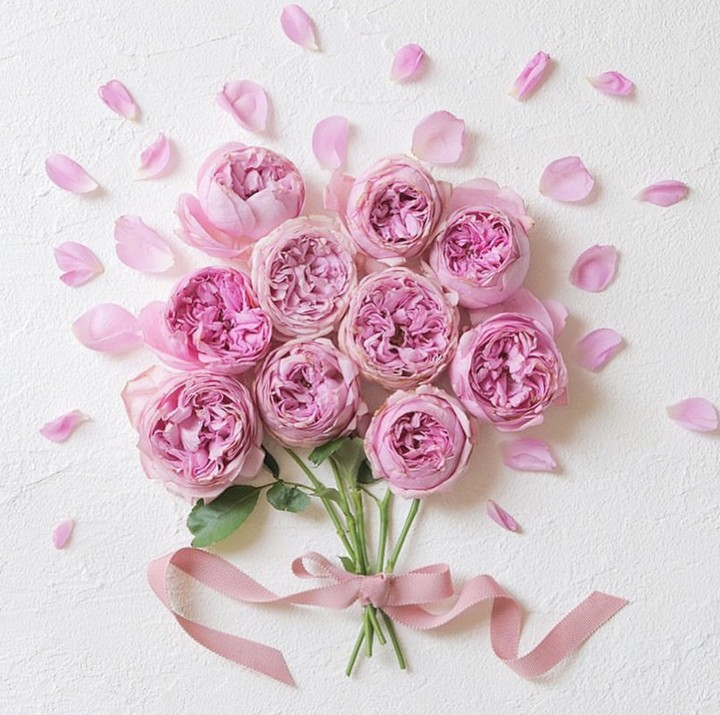 Pink flower