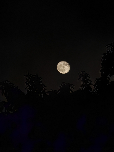 sfondi sky, moon