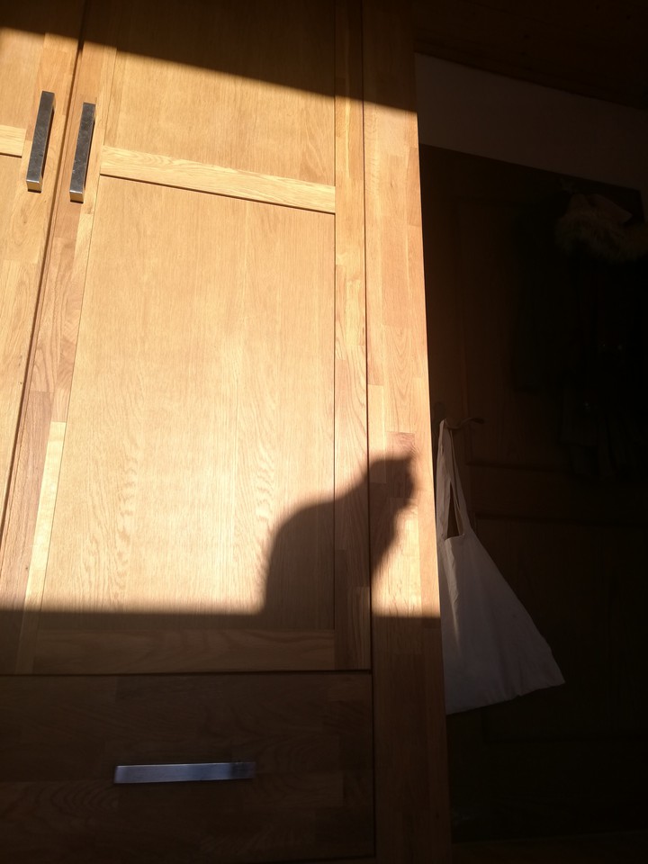 shadow