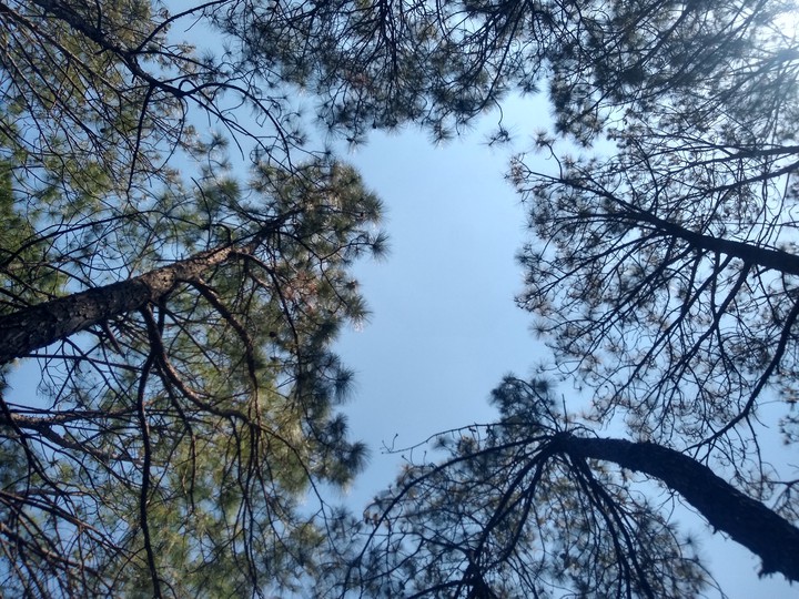 ~