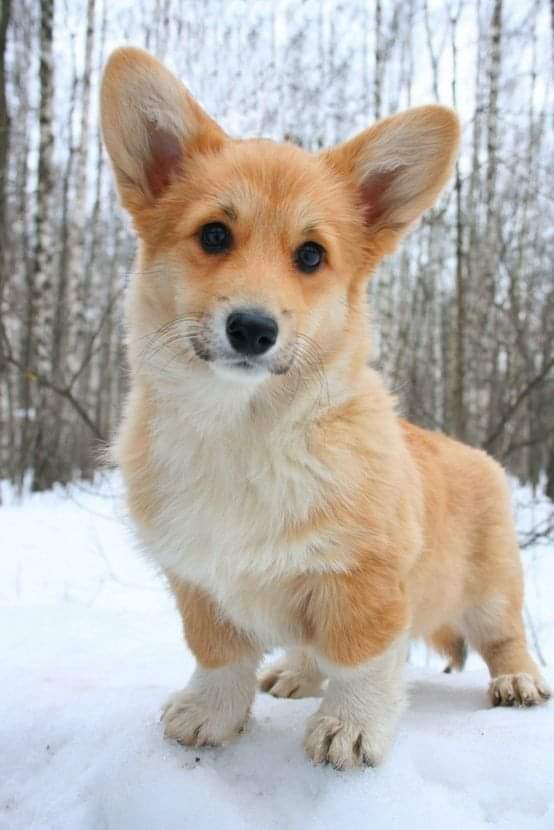 so cute