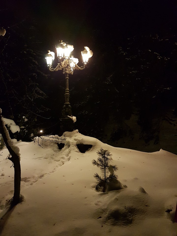 latern light in snowy woods