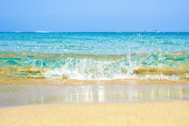 Wave