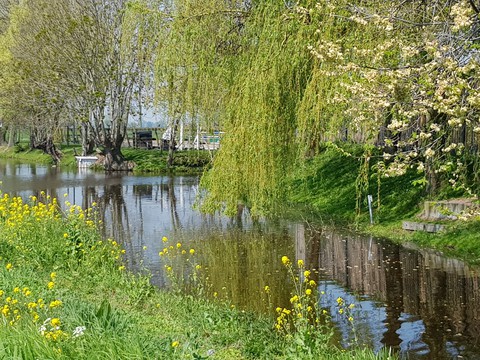 Netherlands nature beauty