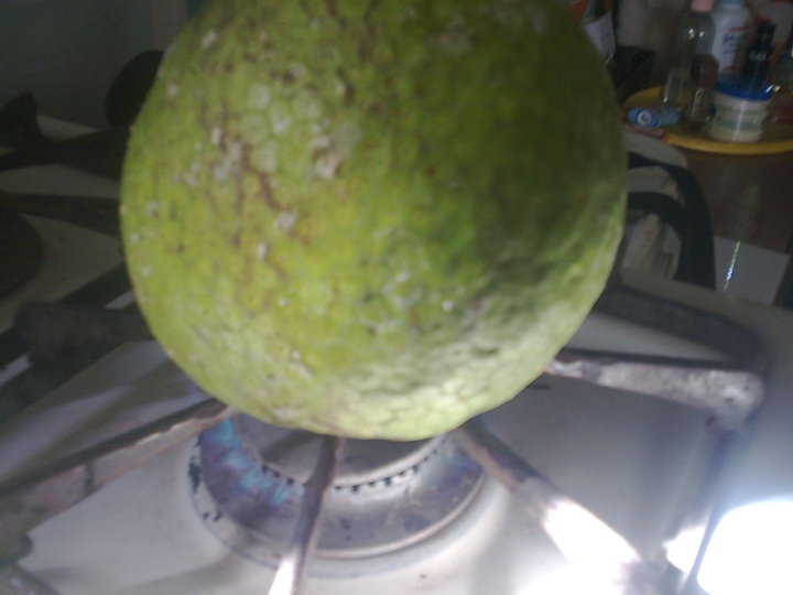 #roasting breadfruit
