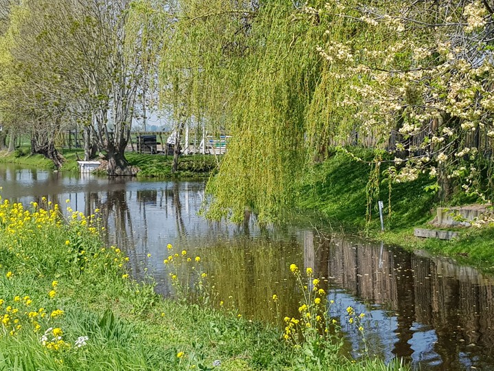 Netherlands nature beauty