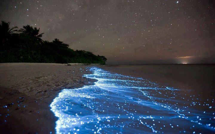 sea