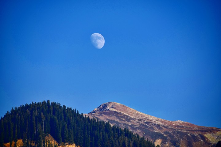 Moon in daylight