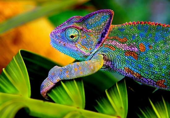 beautiful