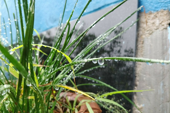 Droplet