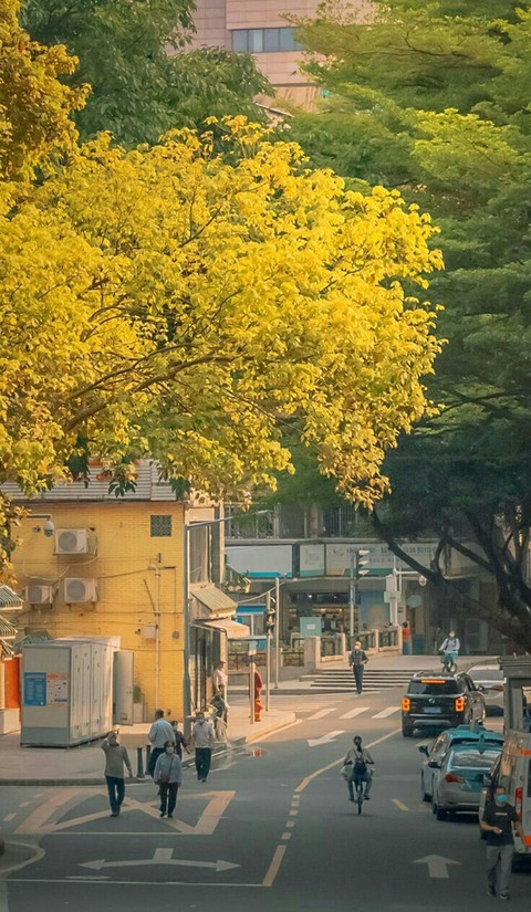 тапети Yellow, electricity